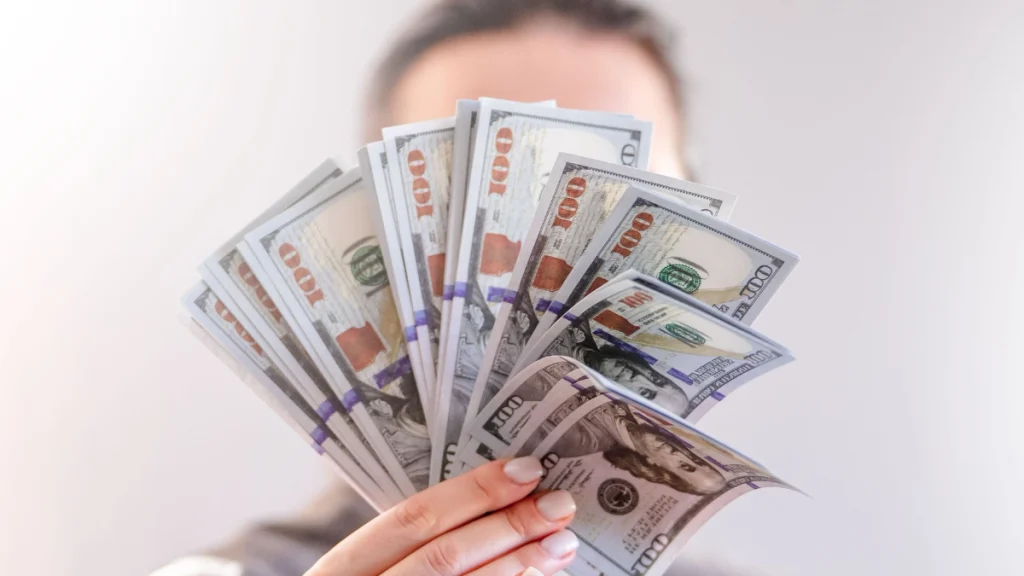 Gestão financeira para pet sitters